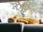 sleeping in his car.. ;')