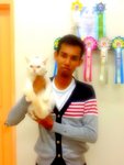 Prince Masato - Domestic Short Hair Cat