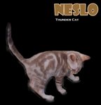 Neslo (Snow Bengal) - Bengal Cat