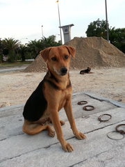 Lady relaxing at a construction site.