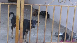 Whole family picture, they are staying in a abandoned house