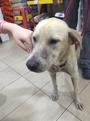 This is a veterinarian clinic, so we had to put him on a leash, but he was glad to see us