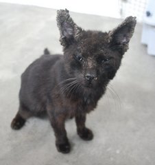 "Finally home with foster mum. I could barely open my eyes."