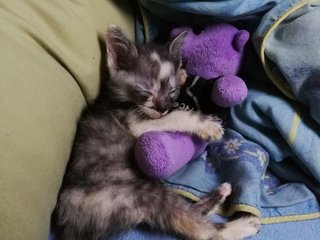 Snoozing with Mr Teddy