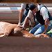 Death And Disarray At America’s Racetracks