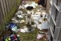 For The Sake Of The Animals, Let’s Clean Up Our Act | Ee Lynn | PetFinder.my WAGazine