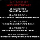 为什么要结扎? WHY NEUTERING?