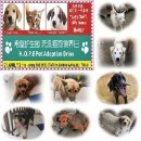 希望护生园户外领养活动 H.O.P.E Adoption Drive