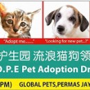 希望护生园流浪猫狗领养日 H.O.P.E Pet Adoption Drive