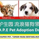 希望护生园流浪猫狗领养日 H.O.P.E Pet Adoption Drive