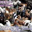 急需猫粮与狗粮 DOG AND CAT FOOD NEEDED 2014 Of Jan