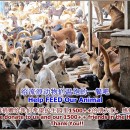 急需猫粮与狗粮!!! DOG AND CAT FOOD NEEDED!!! Apr 2014