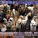 急需猫粮与狗粮!!! DOG AND CAT FOOD NEEDED!!! FEB 2014