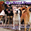 急需猫粮与狗粮 DOG AND CAT FOOD NEEDED Nov 2013