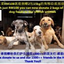 急需猫粮与狗粮!!! DOG AND CAT FOOD NEEDED!!! Nov 2014