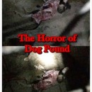 狗狗拘留所的惨况 The Horror Of Dog Pound