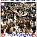 祝大家2014年新年快乐 Happy New Year 2014