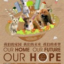 筹建家园2013慈善晚宴 HOPE’s 2013 CHARITY DINNER