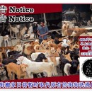 通告：狗狗搬家日将暂时取代原有的狗狗洗澡日 Announcement: Dog Bathing Event Will Temporarily Be Substituted To Dog Moving Event.