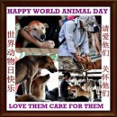 10月4日2013年是世界动物日 4th October 2013 Is World Animal Day