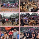 4月28号2013年 希望护生园狗狗洗澡日 28 Of Apr 2013 H.O.P.E Doggies Bathing