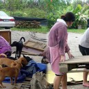 A New DIY Shelter Built (though We Wish We Don’t Have To Build Another One Anymore)