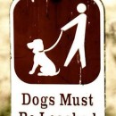 A Must Read For All Dog Owners 狗主必看