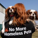 After Decades Of Frustration, A New Strategy Against Puppy Mills