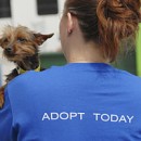 At Long Last, Pet Sales On The Way Out In L.A.