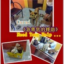 Carni 需要您的援助 Carni Need Your Help