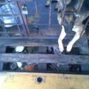 Dog Caged Up 24 Hours A Day (Mahesan Sivakumaran’s)