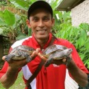 Fishermen Help For River Terrapins