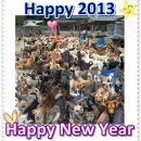 Goodbye 2012, Welcome 2013. 再见2012，欢迎2013