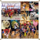 H.O.P.E Charity Drive In Pet World 希望护生园慈善活动于宠物展 (27-29 Jun 2014)