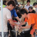 H.O.P.E Doggies Bathing Event 希望护生园狗狗洗澡日