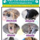 HOPE Adoption Drive