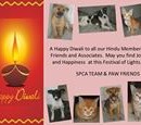 Http://www.spca-Penang.net/newsletter/nletter_11_13.html