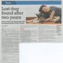 Lost Dog Found After Two Years By Judith Tan, The New Paper