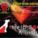 MDDB PENANG ADOPTION DRIVE ON 3RD MARCH AT JURU AUTO-CITY