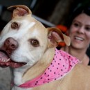 Melissa Moreira’s Opposition To Bill To Repeal Miami-Dade County’s Pit Bull Ban