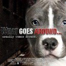 Movie Against Animal Cruelty ‘What Goes Around’