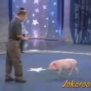 Pet Star – Smart Piggy