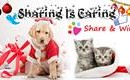 Sharing Is Caring X’mas Contest | PetFinder.my