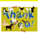 Thank You To Khoo Lee Hui Who Had Generously Donated RM2000 For Our Furry Kids In HOPE