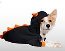 Vote For This Contestant | Furry Halloween Contest