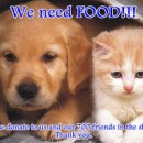 We Need Food