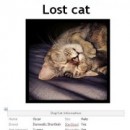 What To Do If You Lose Your Pet