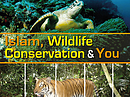 WWF-Malaysia’s ‘Islam, Wildlife Conservation And You’ Handbook To Boost Muslims’ Environmental Parti